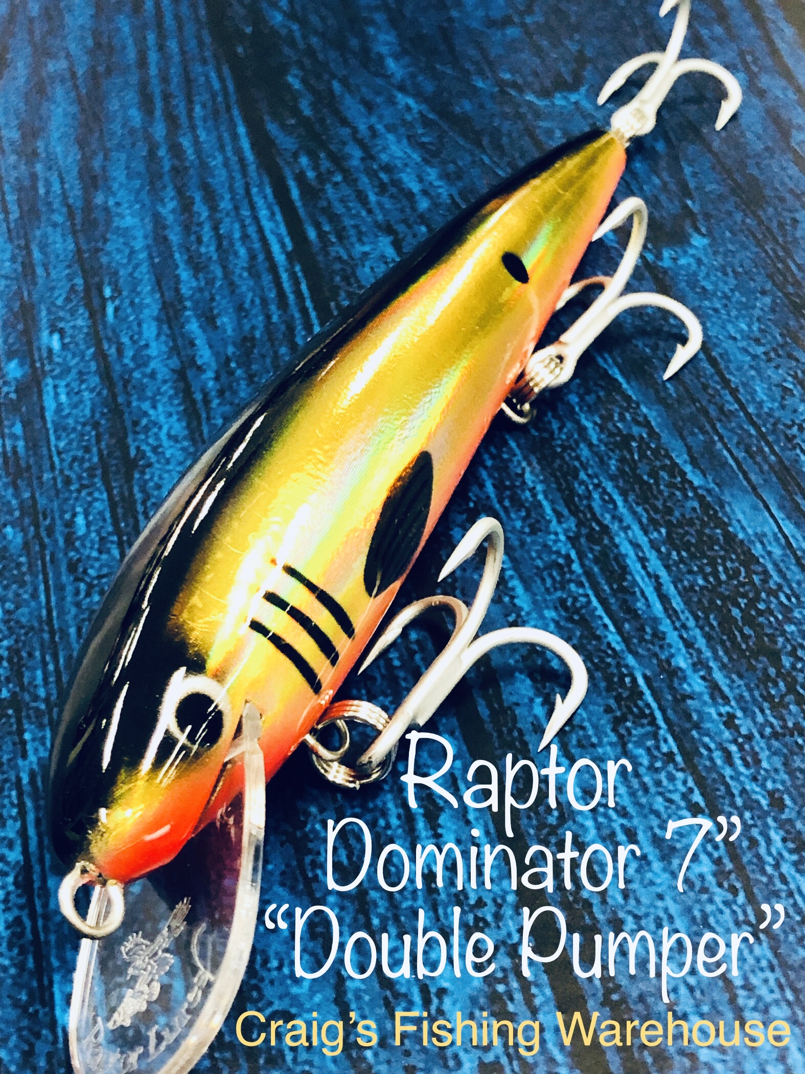 Raptor Dominator 7 Inch 'Double Pumper
