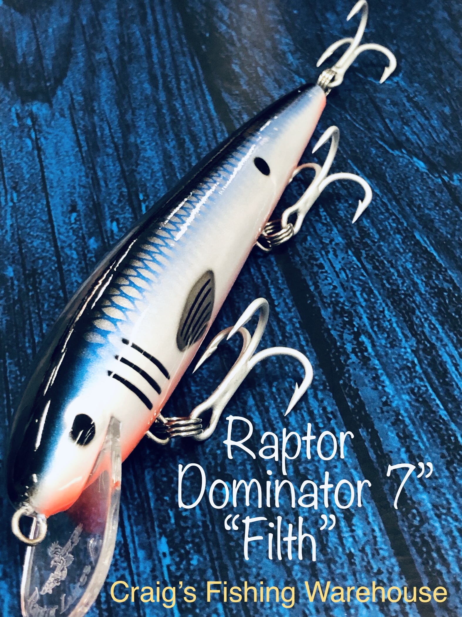 Raptor Dominator 7 Inch 'Filth