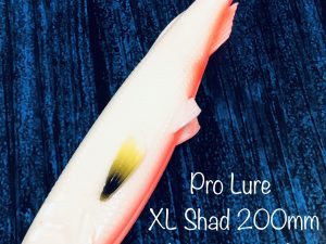 Pro Lure XL Shad 8inch